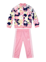 Conjunto Roseto